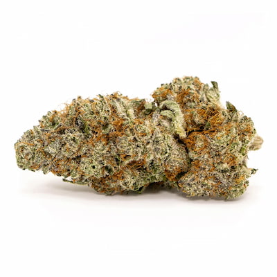 Cherry Sorbet > Elev8 Seeds | Feminisierte Hanfsamen  |  Hybrid